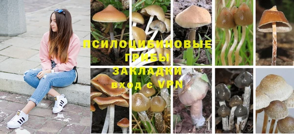 гидропоника Балабаново