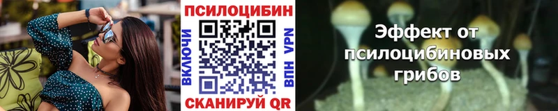 Галлюциногенные грибы Psilocybine cubensis  Купить  Мензелинск 